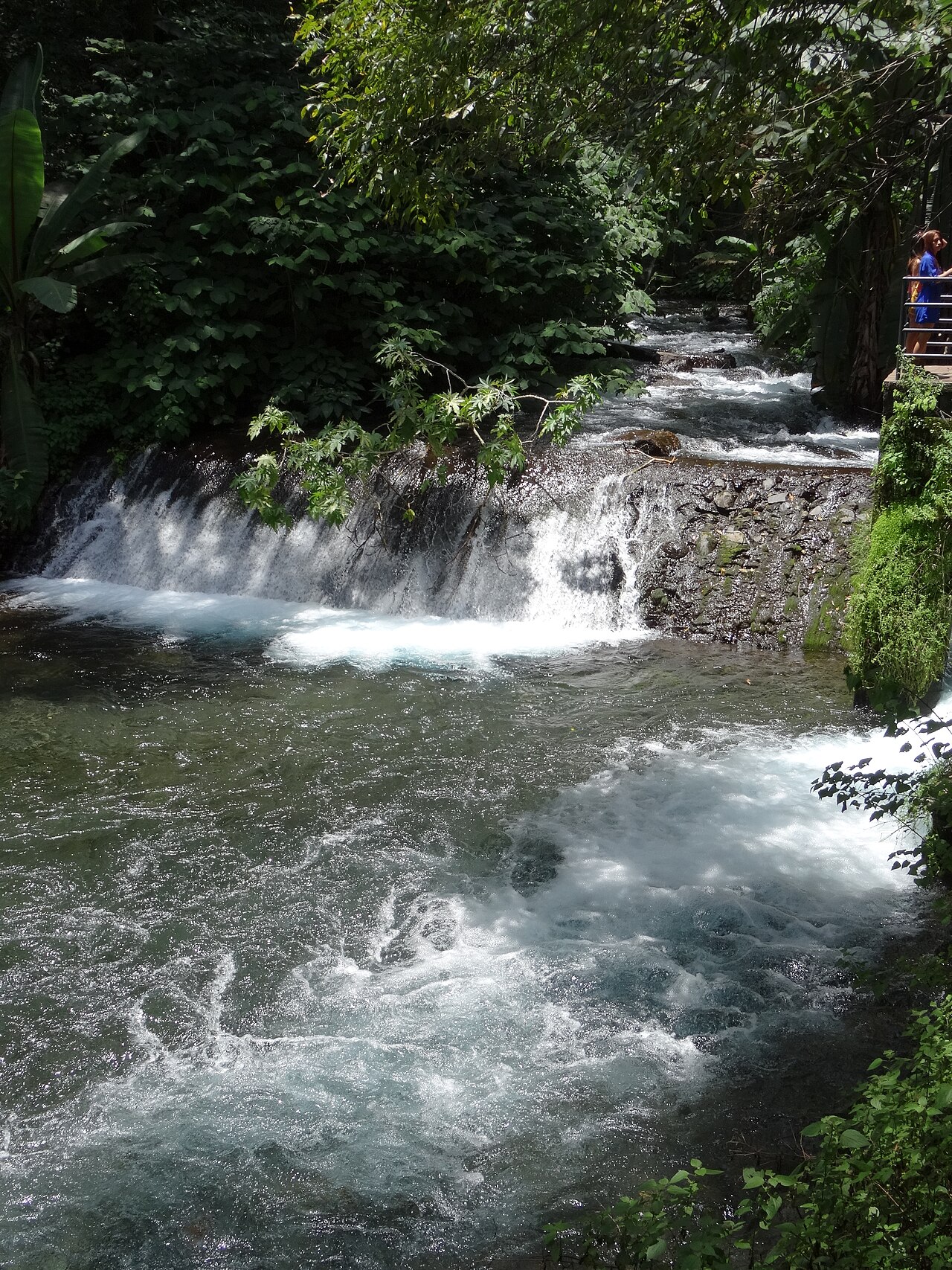 Foto de Parque Nacional Barranca del Cupatitzio (4)