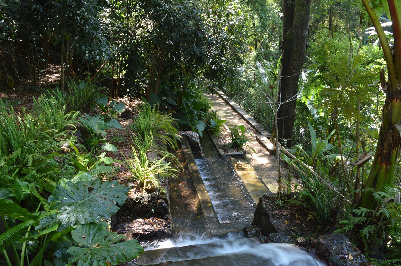 Foto de Parque Nacional Barranca del Cupatitzio (5)