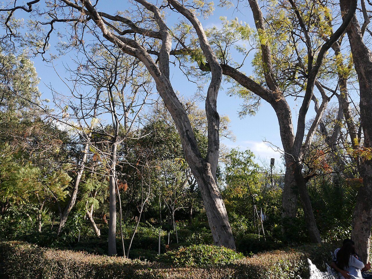 Foto de Jardín de San Marcos (3)