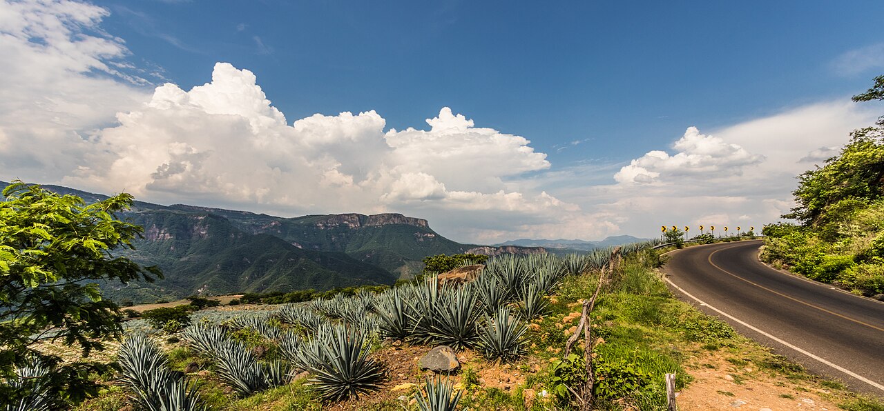 MEX 15: La Venta del Astillero → Tequila por Amatitán