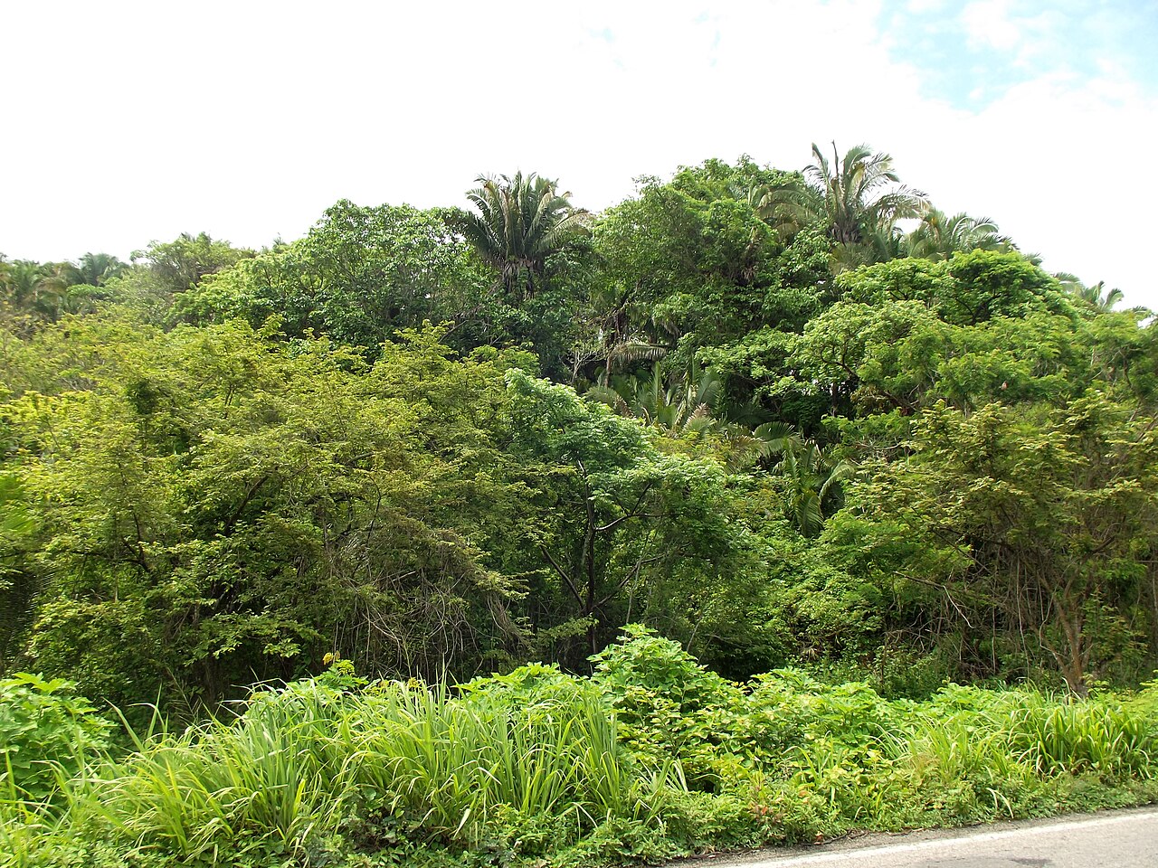 Photo of MEX 200: Sayulita → Rincón de Guayabitos (5)