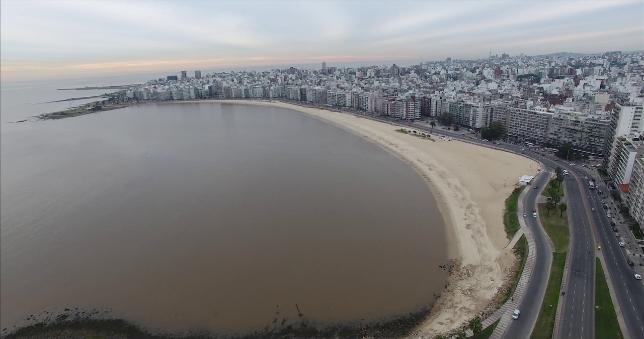 Playa Pocitos