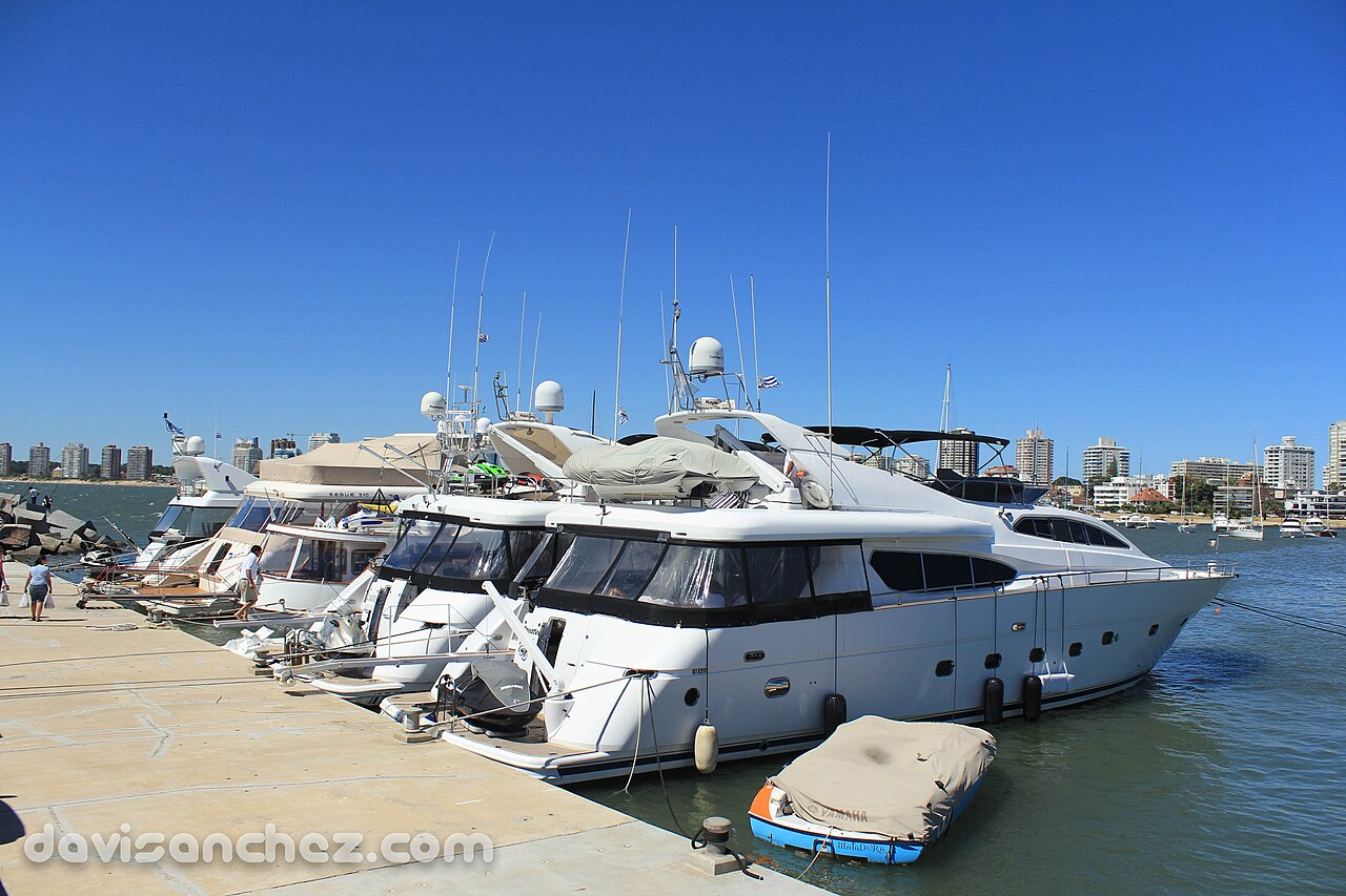 Foto de Puerto de Punta del Este (5)