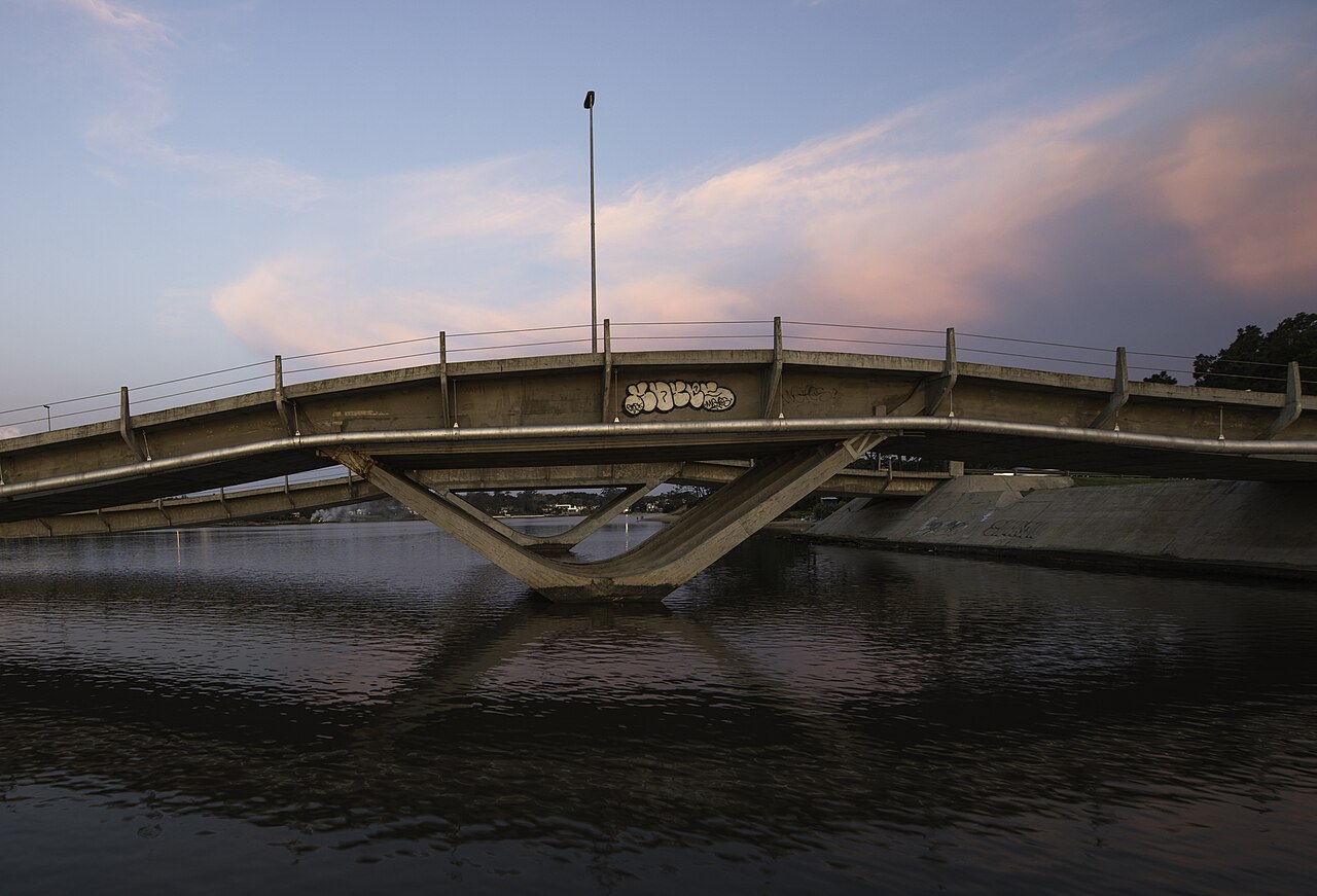 Foto de Puente Leonel Viera (4)