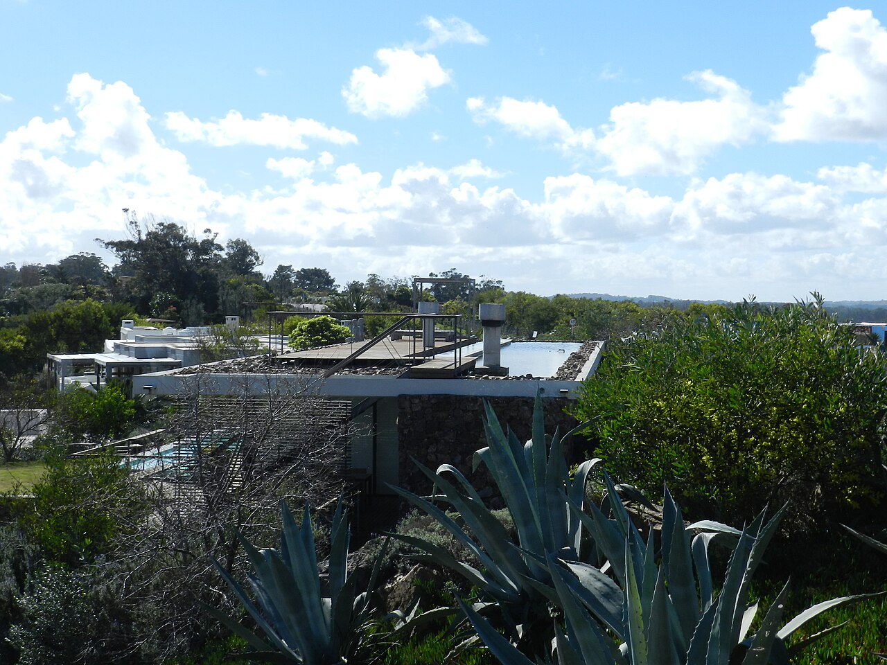 Cerro San Antonio