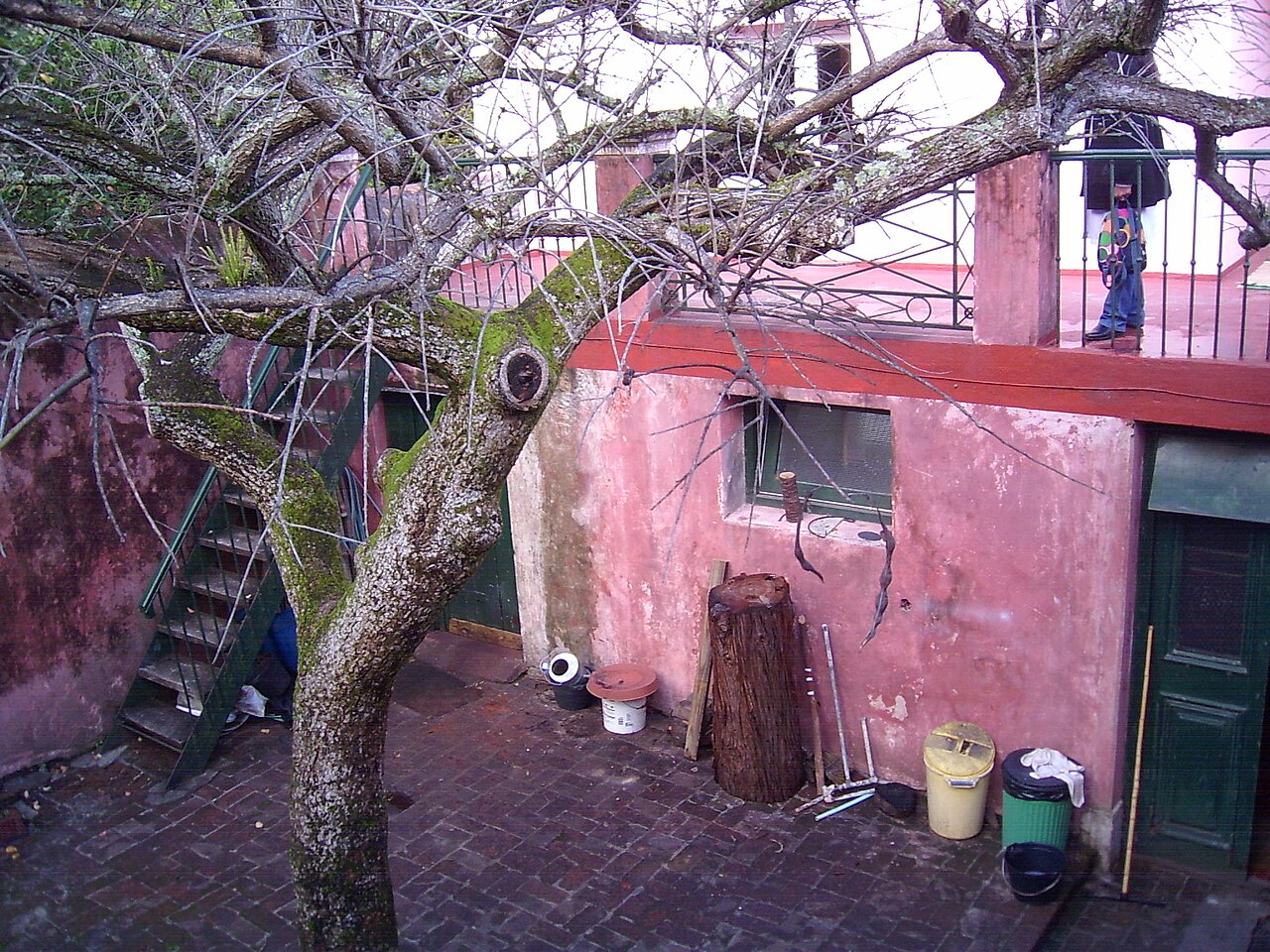 Foto de Arboretum Lussich (3)