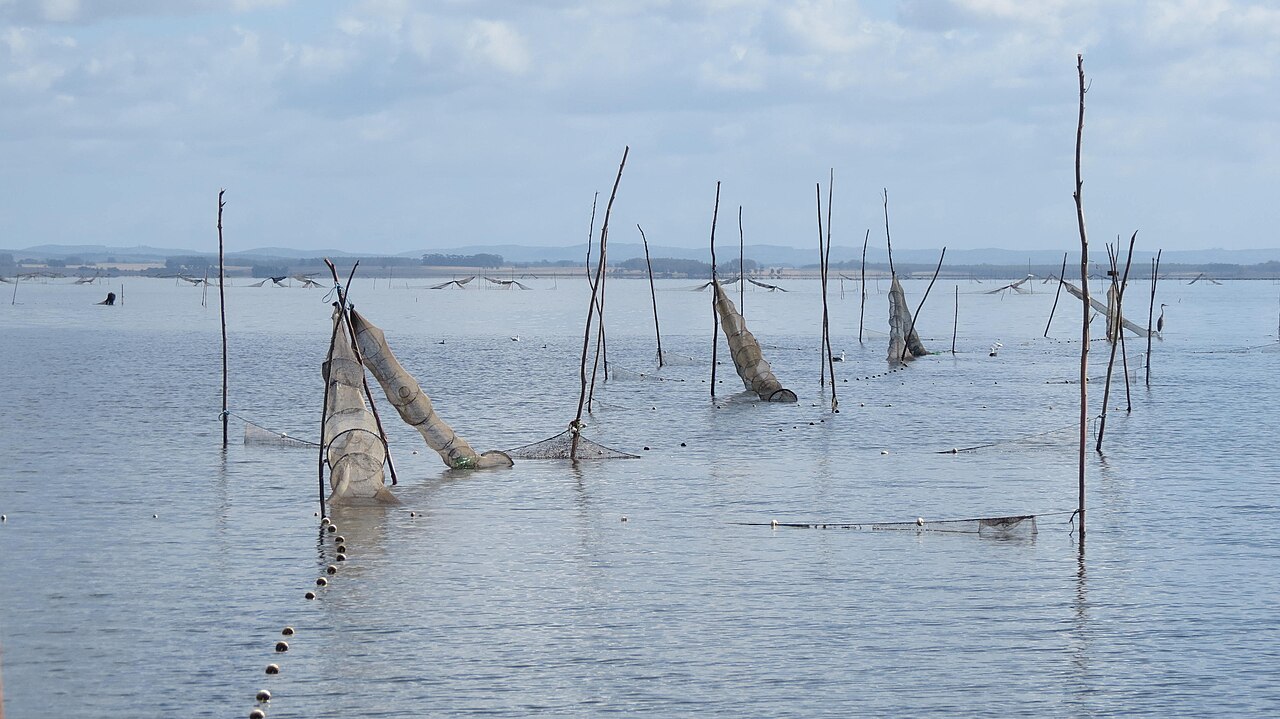 Photo of Laguna de Rocha (3)