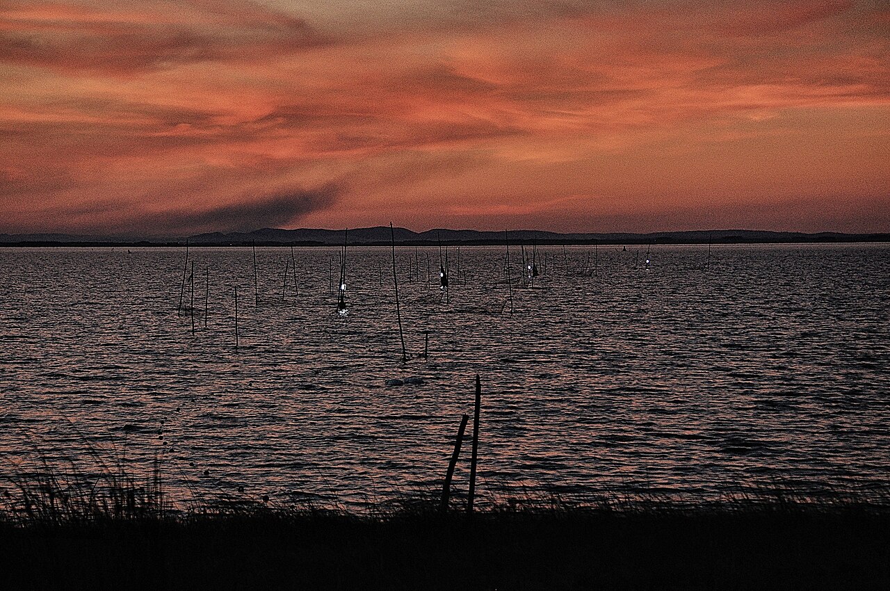 Photo of Laguna de Rocha (4)