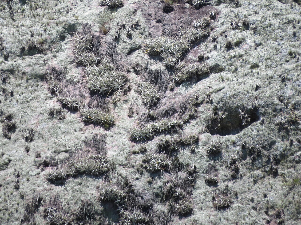 Foto de Cerro Arequita (5)