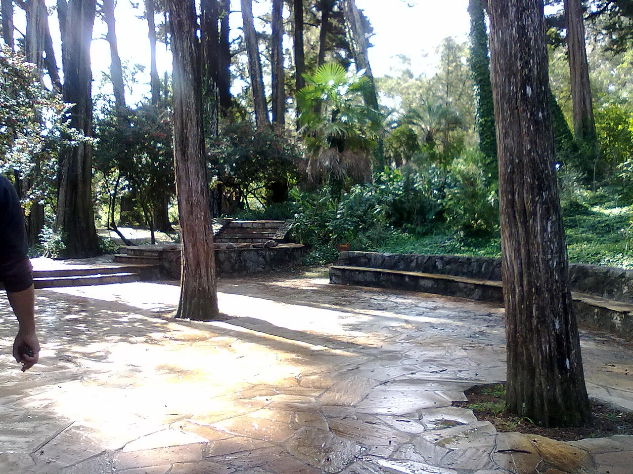 Photo of Parque Salus (4)
