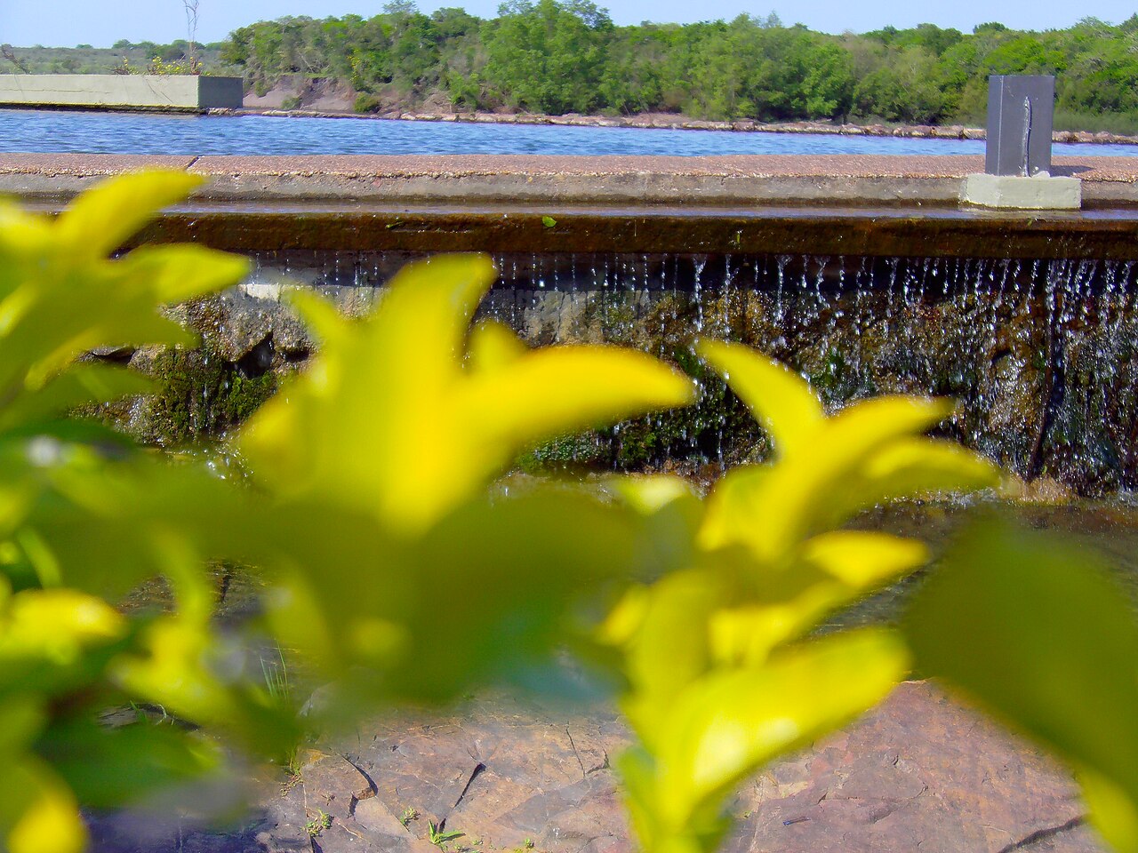 Photo of Termas del Arapey (4)