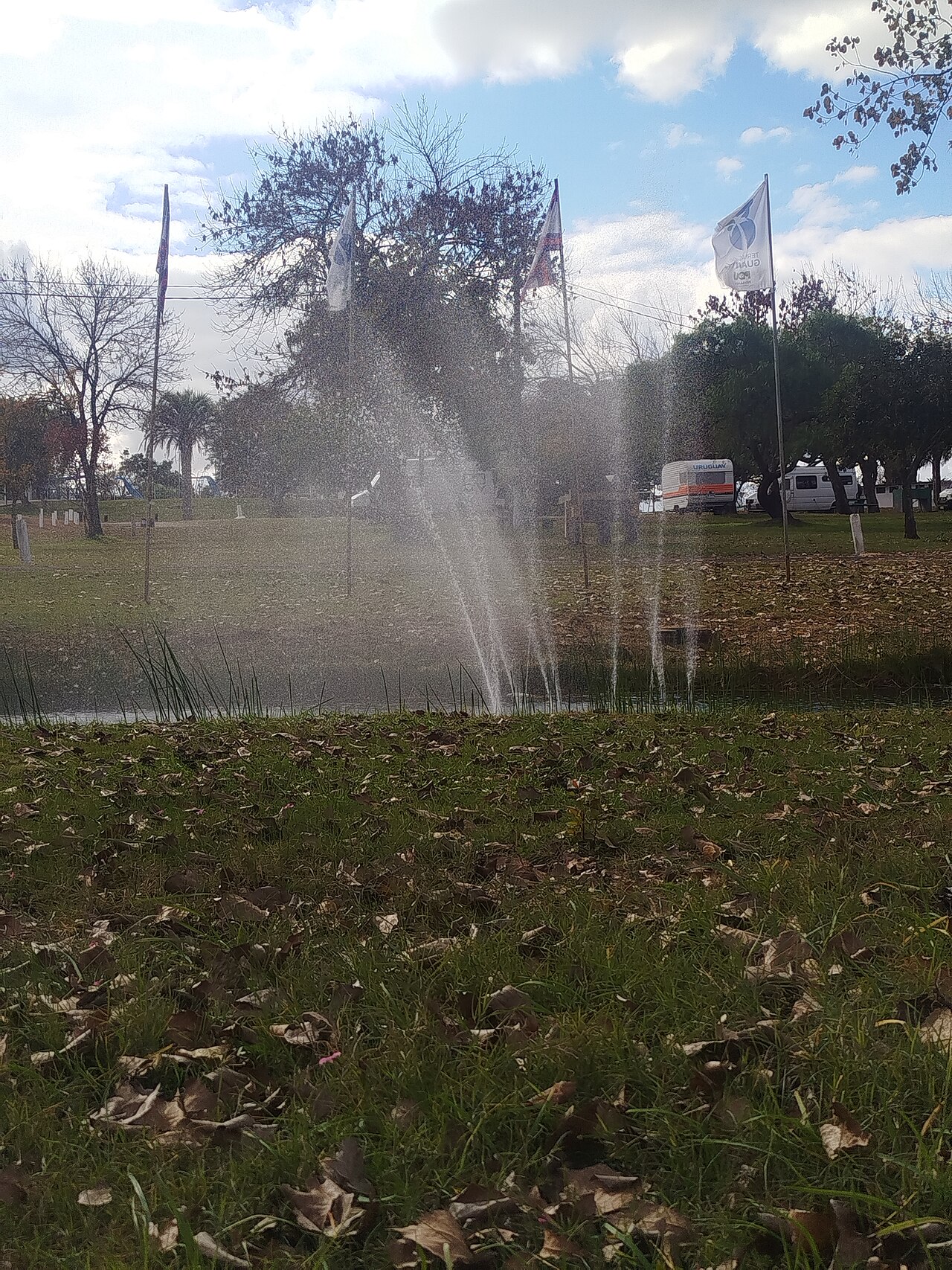 Foto de Termas del Guaviyú (3)