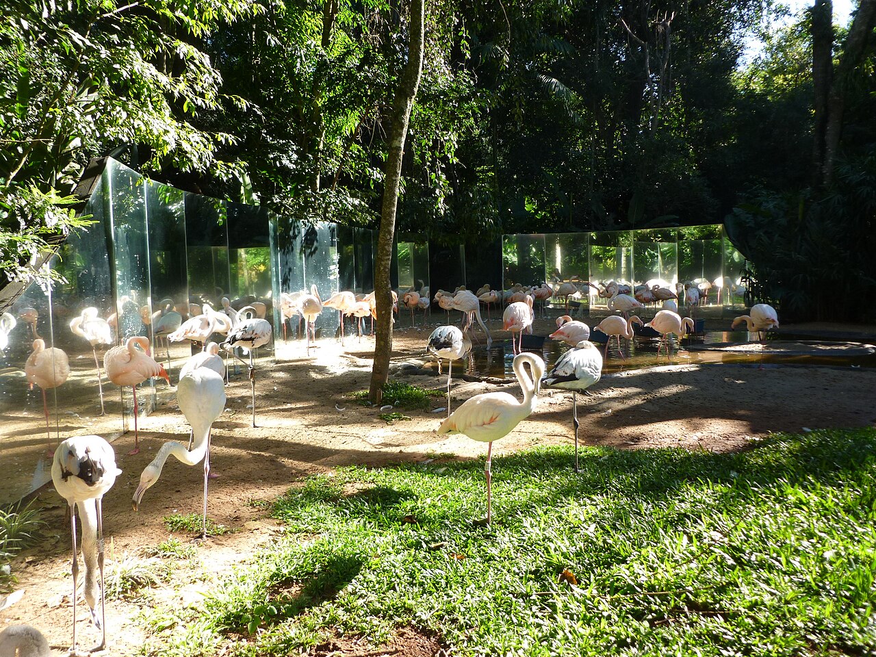 Foto de Parque das Aves (3)