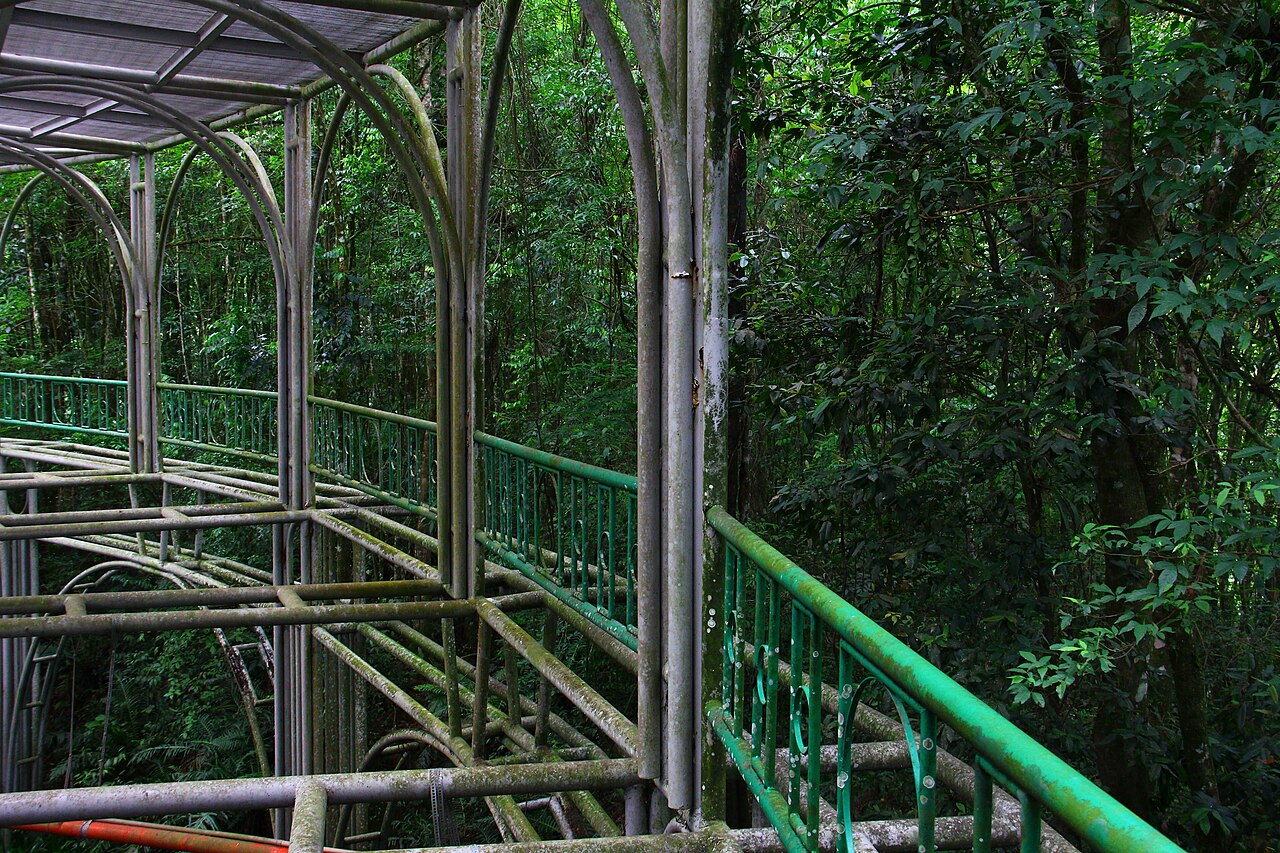 Photo of Ópera de Arame (5)