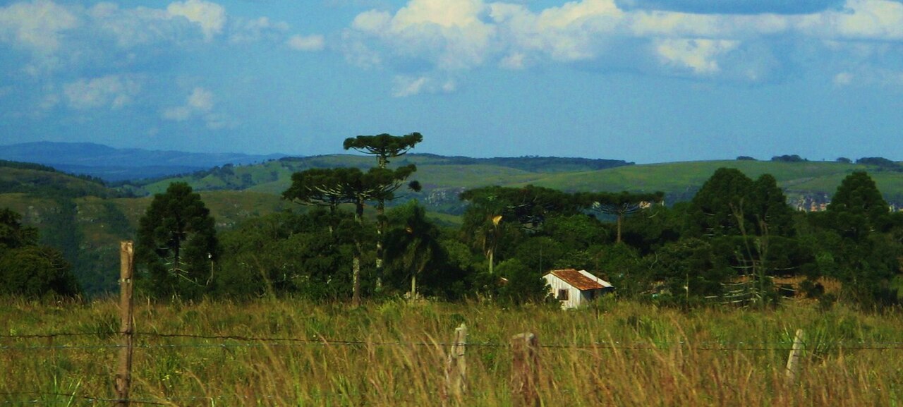 Foto de PR-340: Castro → Tibagi por el Cânion Guartelá (5)