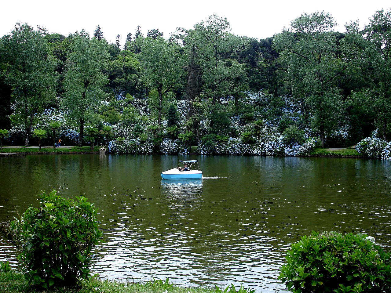 Lago Negro