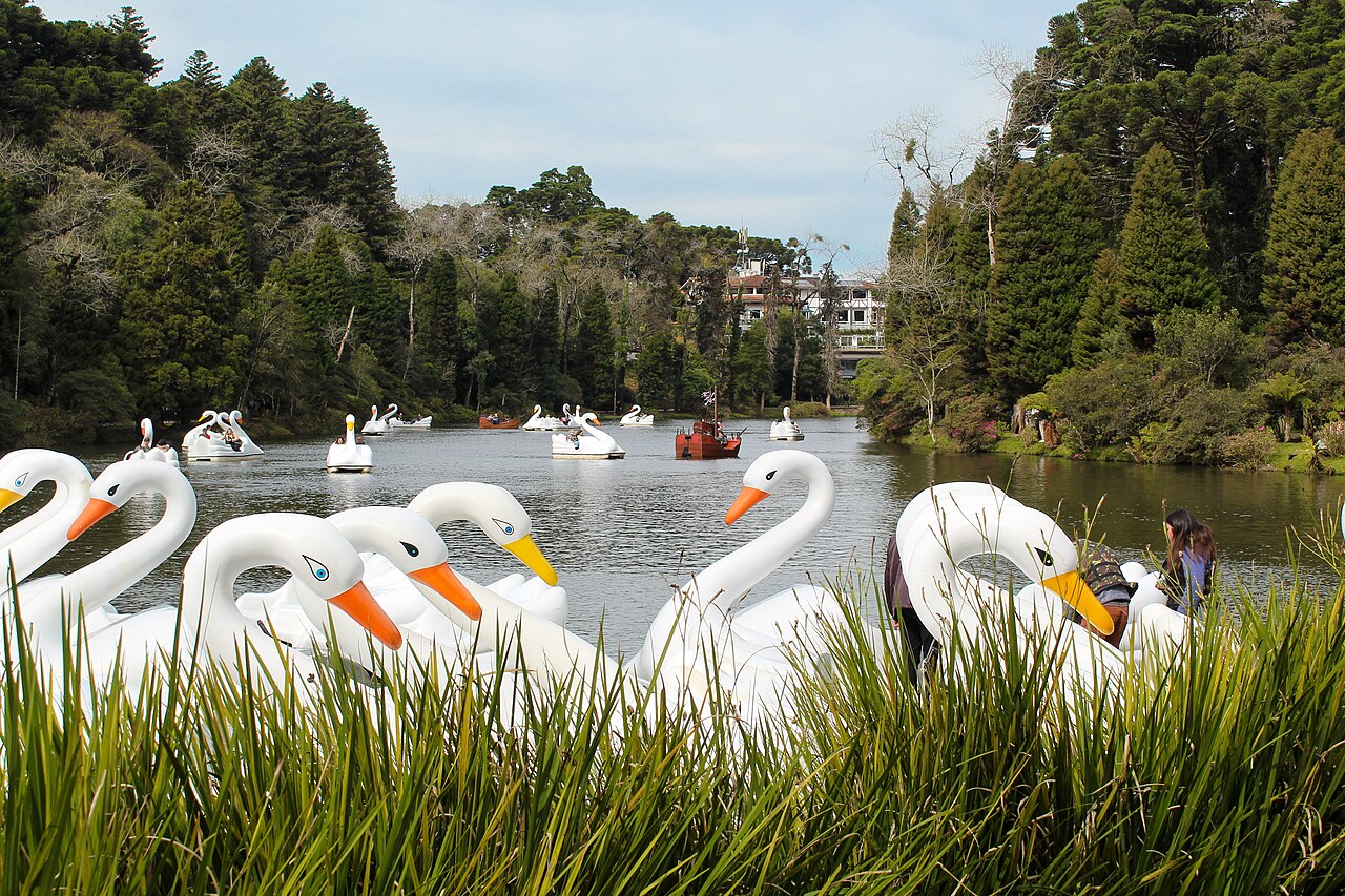Foto de Lago Negro (3)
