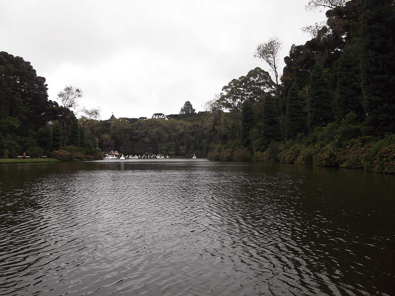 Foto de Lago Negro (5)