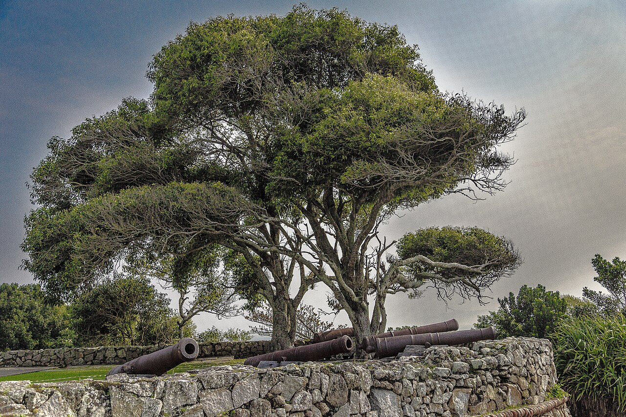 Foto de Fortaleza de São José da Ponta Grossa (4)