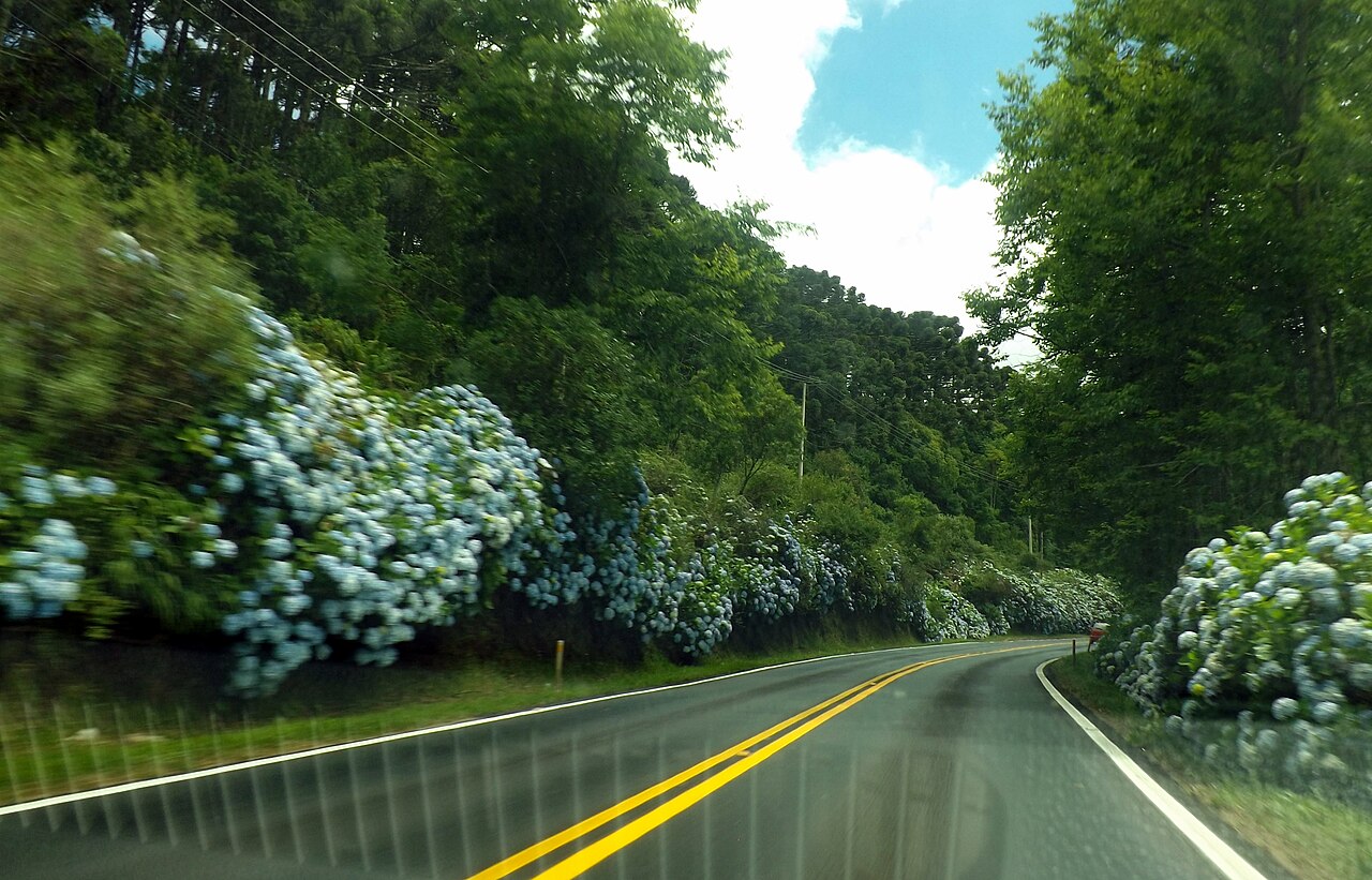 Foto de RS-235: Nova Petrópolis → Canela por Gramado (3)