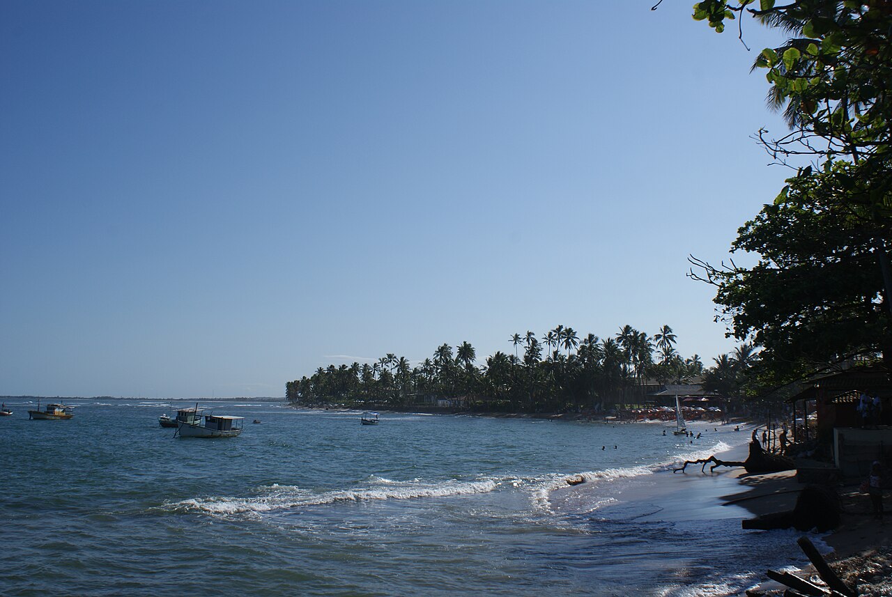 Foto de Praia do Forte y Projeto Tamar (2)