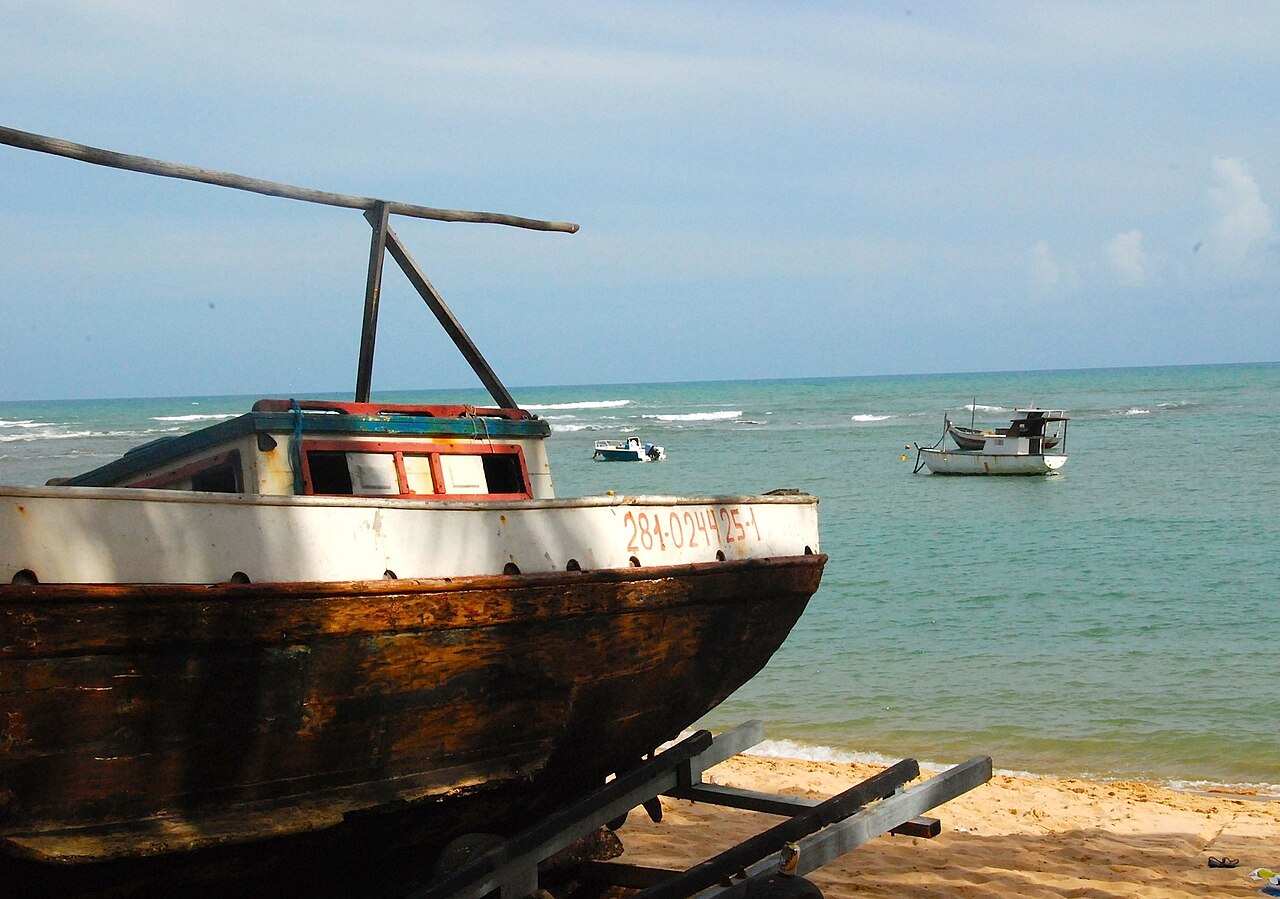 Foto de Praia do Forte y Projeto Tamar (4)