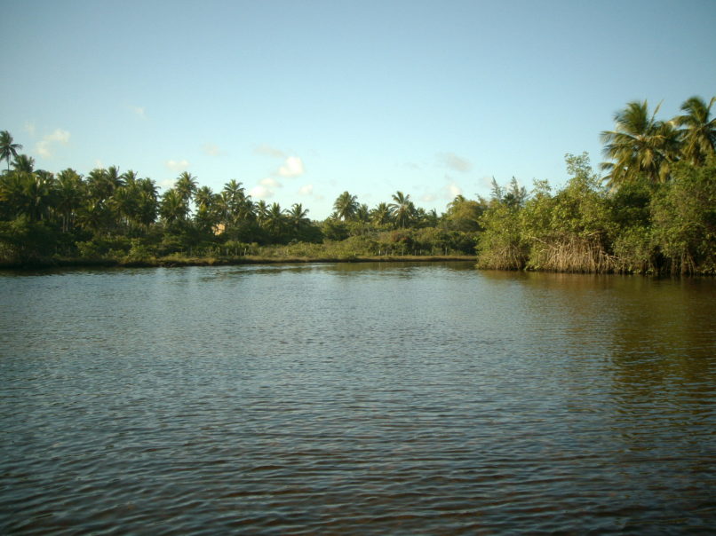 Foto de Praia de Imbassaí (3)