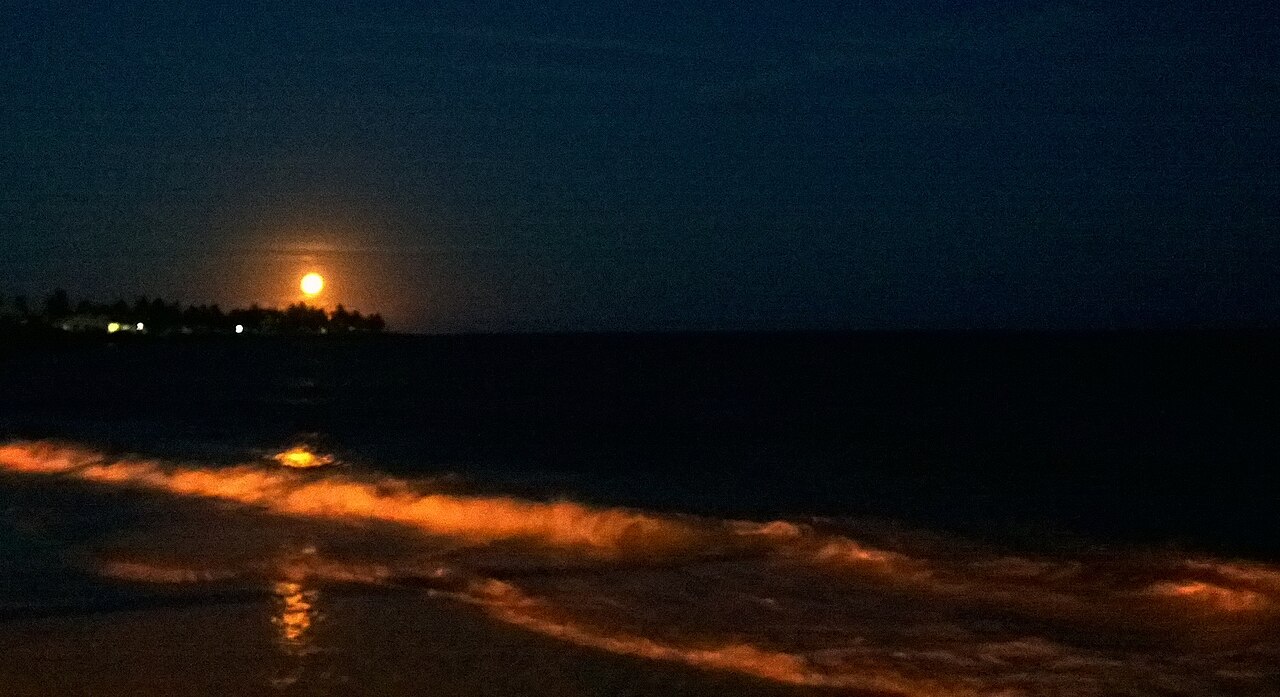 Foto de Praia do Saco (3)