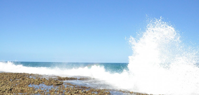 Foto de Praia do Francês (3)