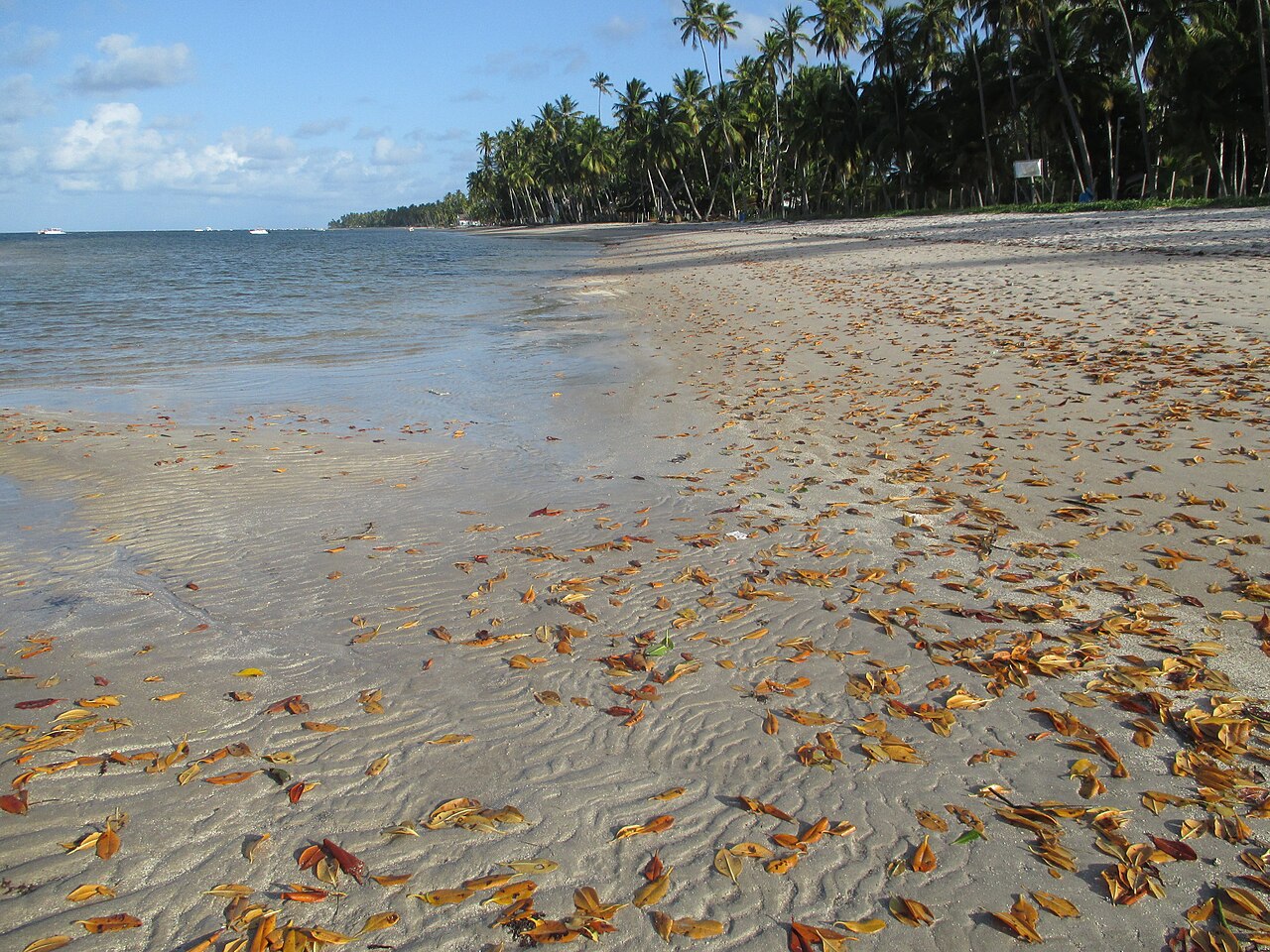 Praia dos Carneiros e Igreja de São Benedito