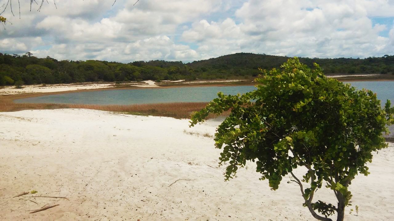 BA-099: Praia do Forte → Conde por la Linha Verde