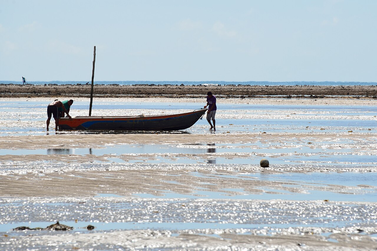 Photo of BA-001: Porto Seguro → Santa Cruz Cabrália por la costa (4)
