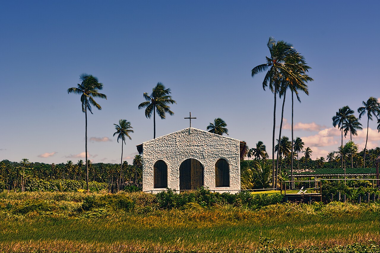 Foto de AL-101: Barra de Camaragibe → Porto de Pedras por la Rota Ecológica (5)