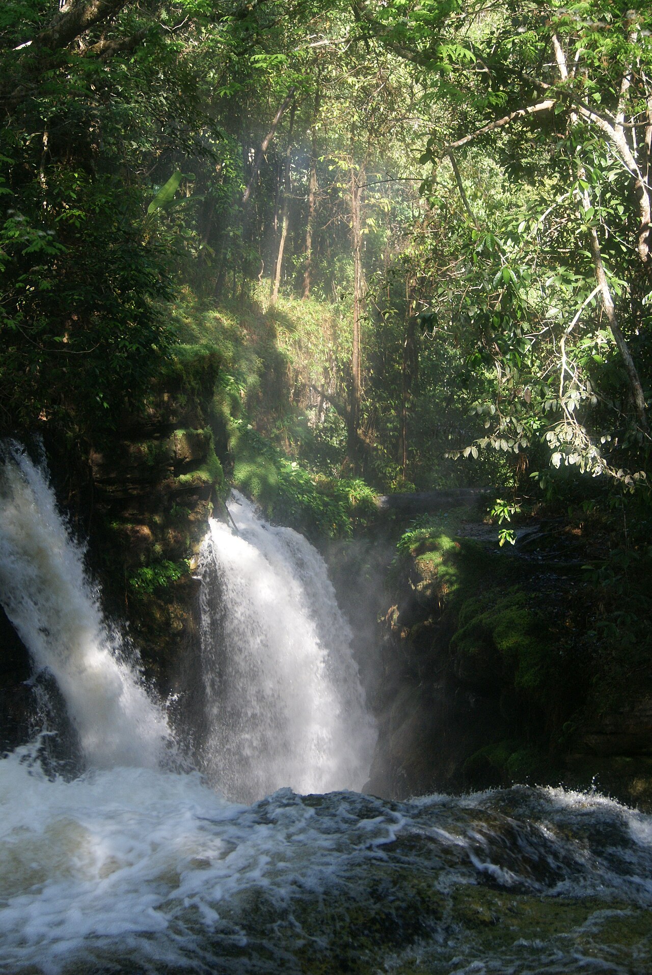 Foto de Caverna do Maroaga (3)