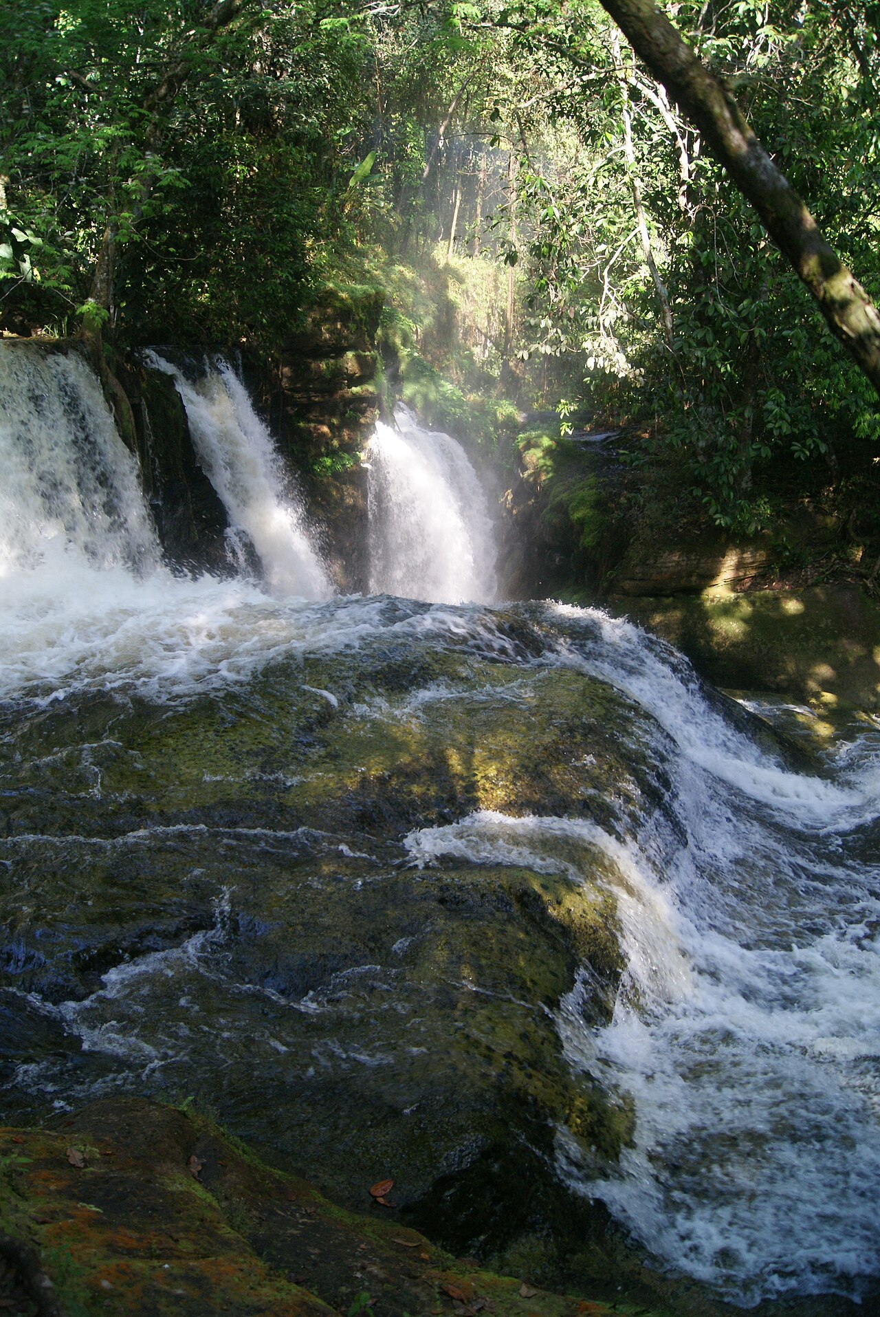 Foto de Caverna do Maroaga (4)
