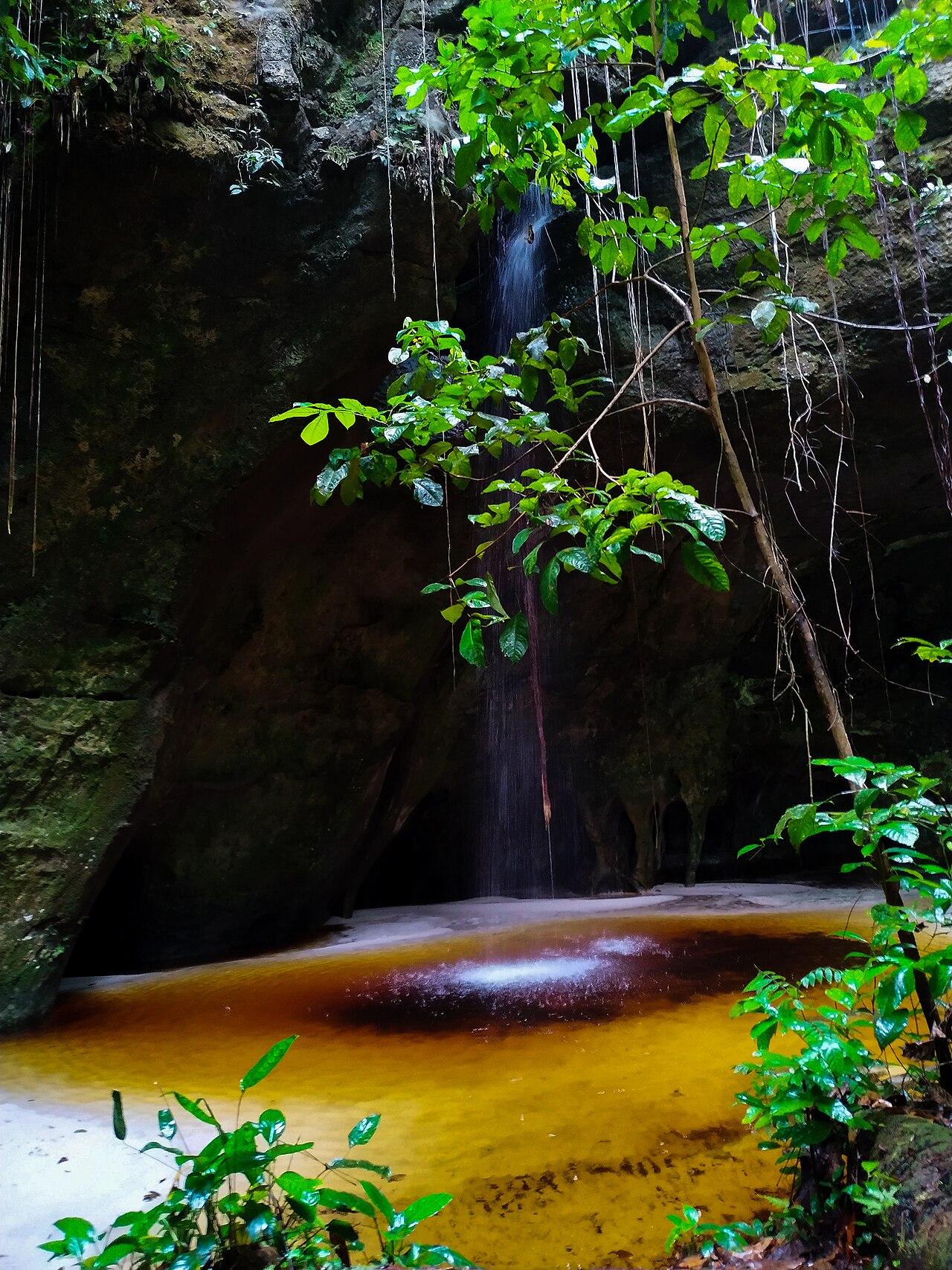 Foto de Caverna do Maroaga (5)