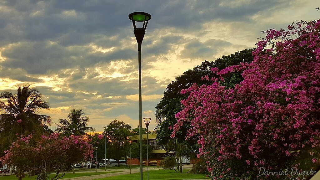 Photo of Praça dos Girassóis y Palácio Araguaia (4)