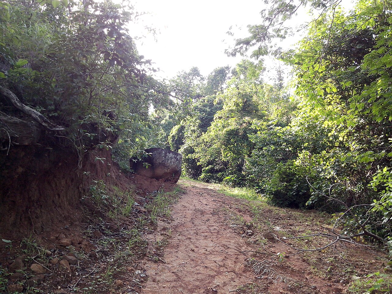 Foto de Cachoeiras de Taquaruçu (3)