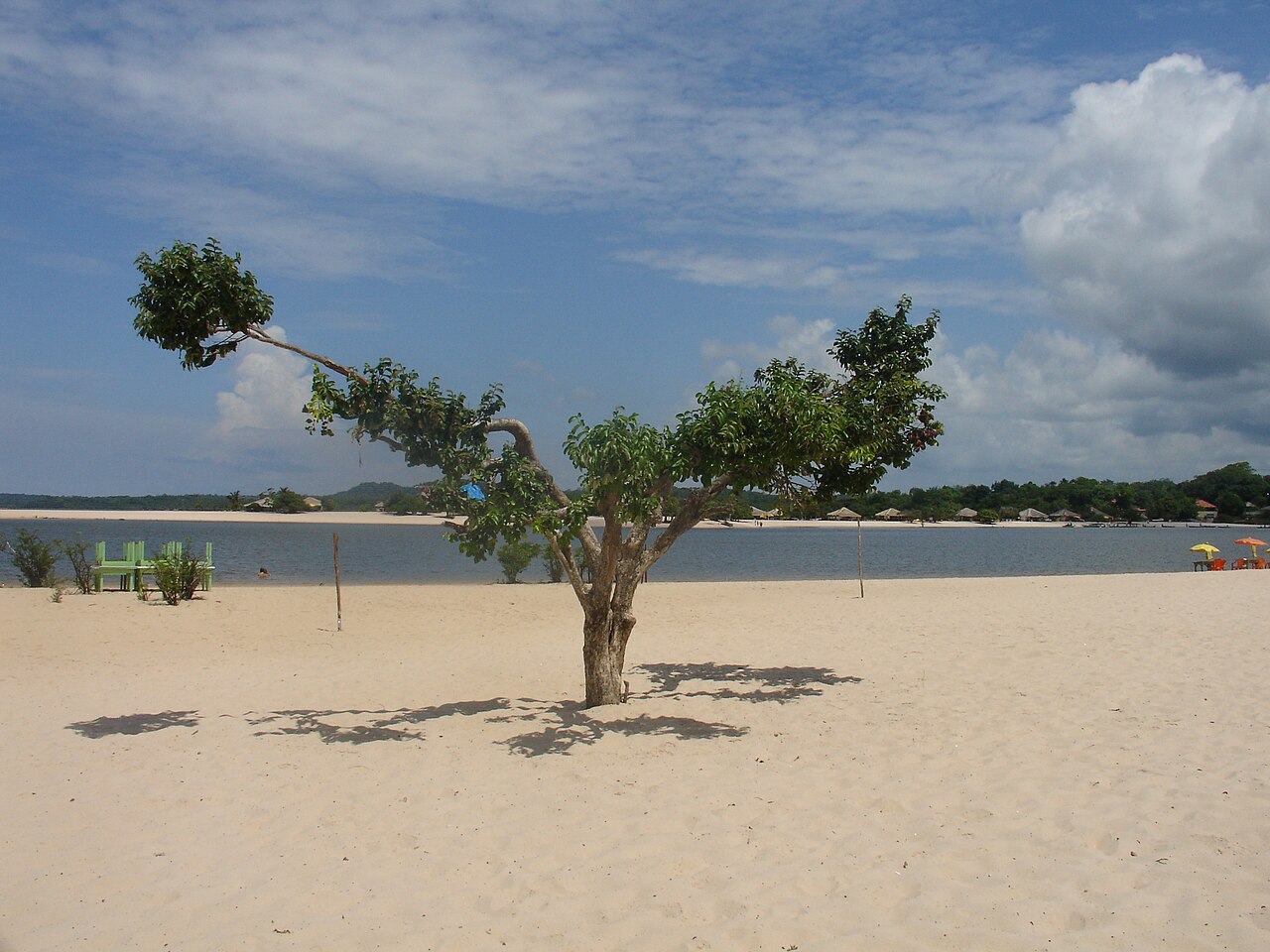 Photo of PA-457: Santarém → Alter do Chão (5)