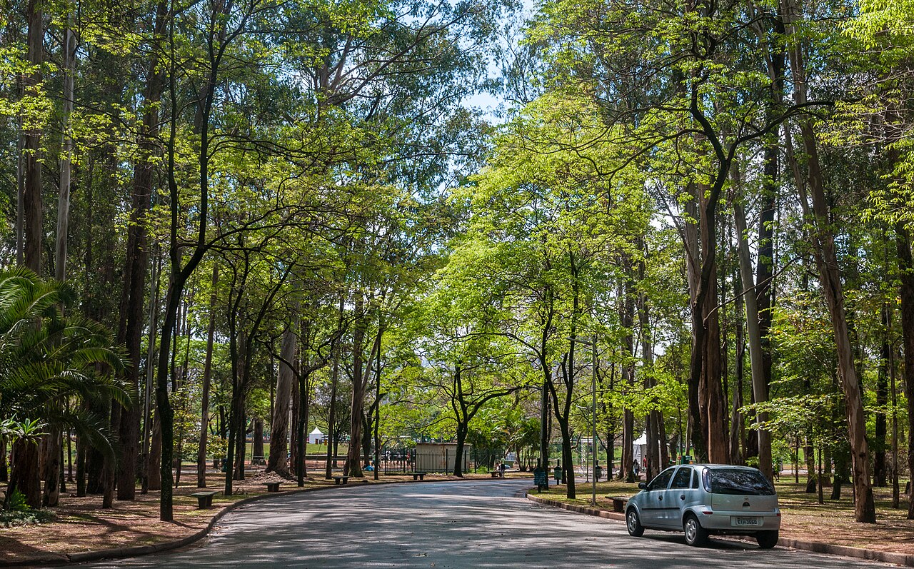 Parque Ibirapuera