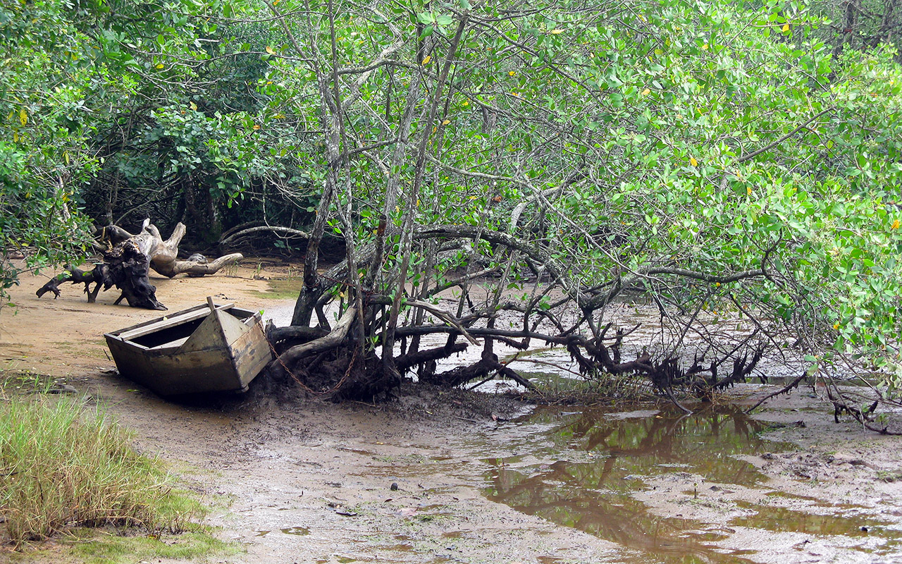 Foto de Praia de Itamambuca (4)