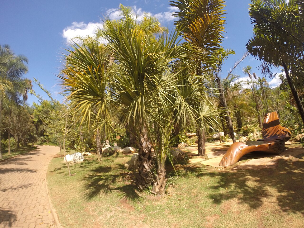 Photo of Inhotim (4)