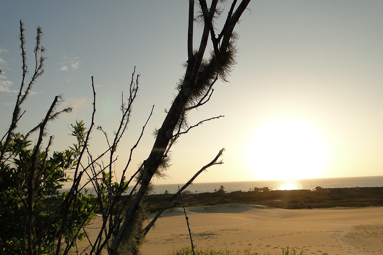 Foto de Dunas de Itaúnas (3)