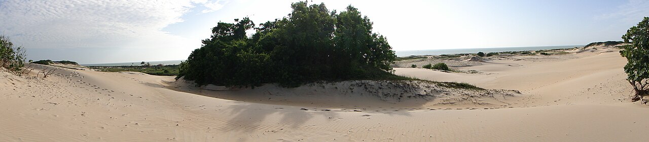 Foto de Dunas de Itaúnas (4)