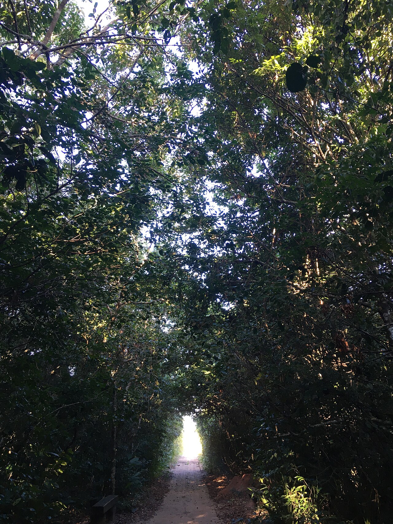 Foto de Parque Estadual Paulo César Vinha (4)