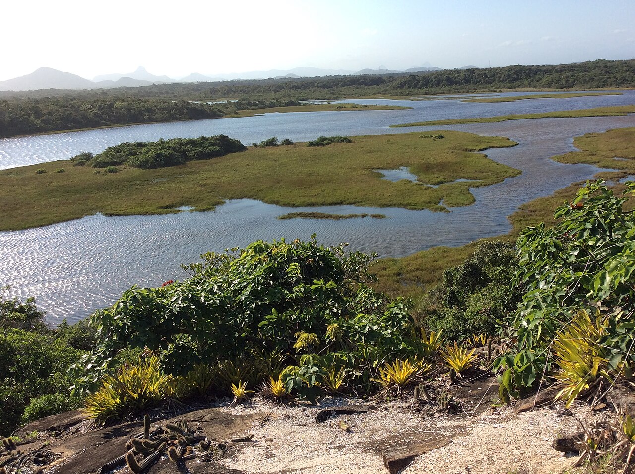 Foto de Parque Estadual Paulo César Vinha (5)
