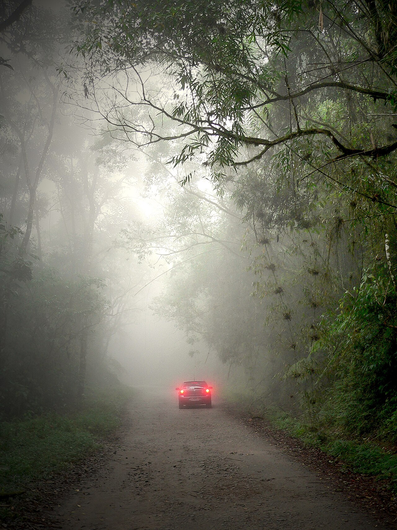 RJ-165: Paraty → Cunha por la Estrada Real