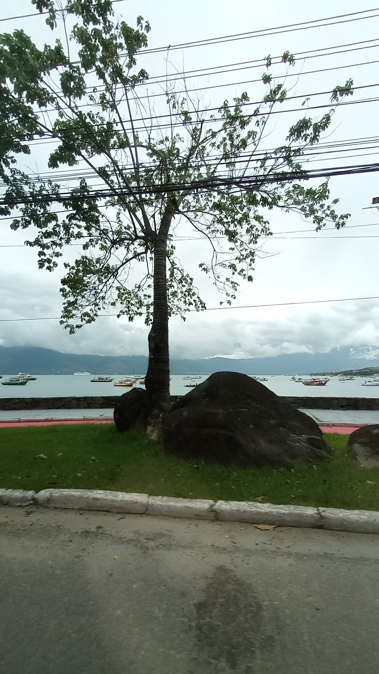 SP-99: Paraibuna → Caraguatatuba por la Rodovia dos Tamoios