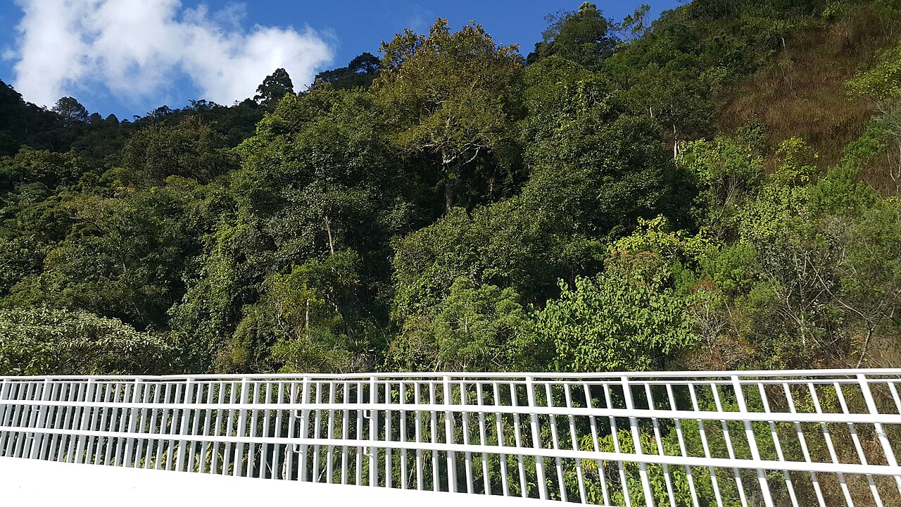 SP-123: Taubaté → Campos do Jordão por la Serra da Mantiqueira