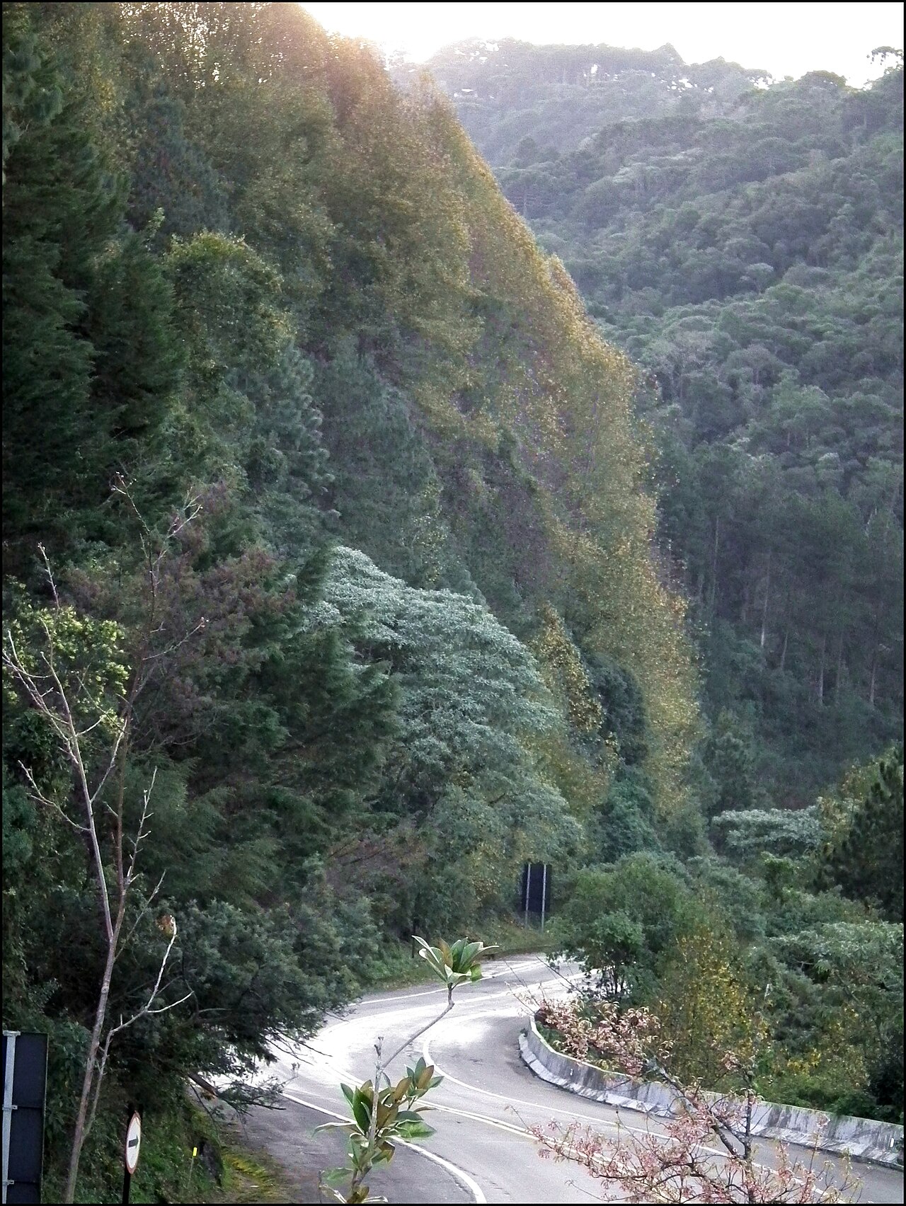 Foto de SP-123: Taubaté → Campos do Jordão por la Serra da Mantiqueira (3)